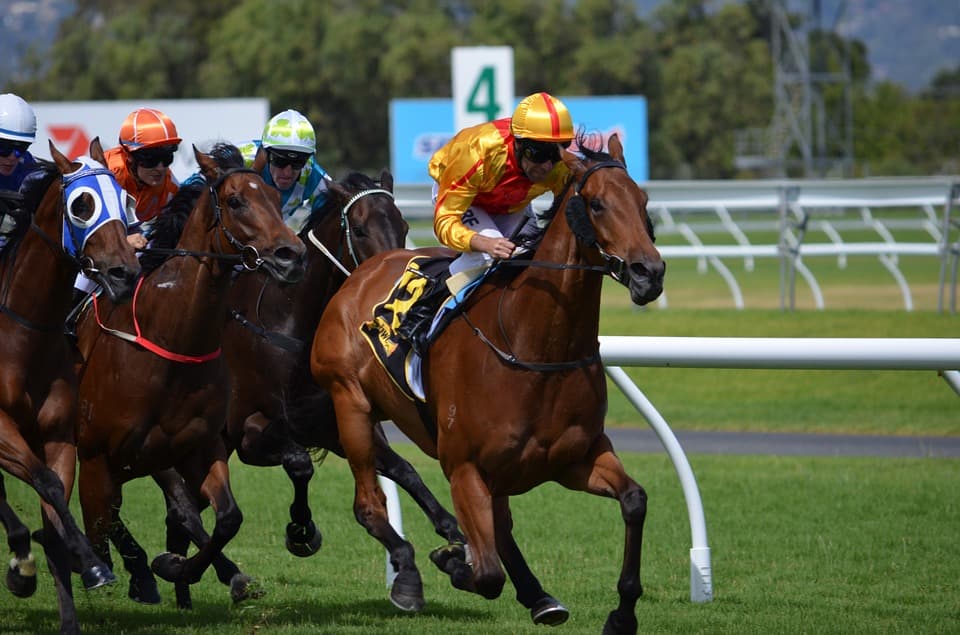 Horse racing