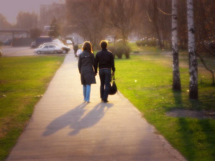 The backs of two people walking side by side in a park at sunset