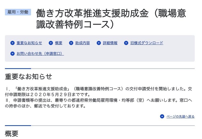 Information page for the Work Style Reform Promotion Support Subsidy (Workplace Awareness Improvement Special-Case Course)